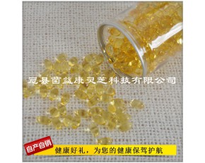 靈芝孢子油膠囊大量批發(fā)