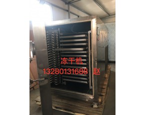 松茸凍干機，果蔬多功能凍干機  百合冷凍干燥機