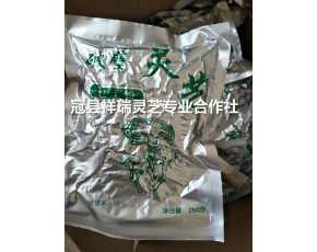 破壁靈芝孢子粉250g