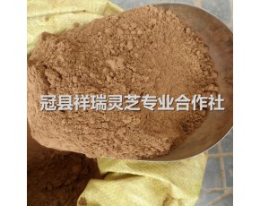 靈芝超細(xì)粉