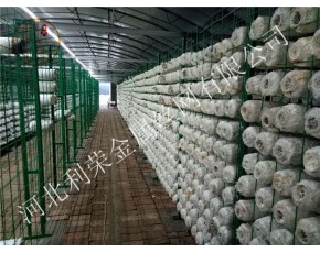 食用菌網(wǎng)格