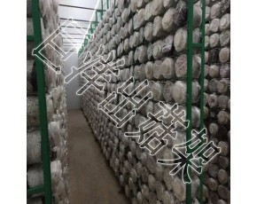 蘑菇架 平菇出菇網(wǎng)格架 猴頭菇出菇網(wǎng)架 杏鮑菇網(wǎng)格