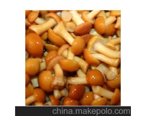 滑子菇量大！來收購商