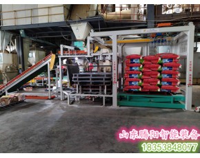 全自動(dòng)碼垛機(jī)