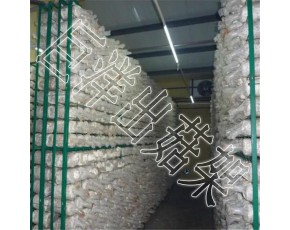 恒溫菇房出菇架成本 食用菌網(wǎng)格架制作方法 大棚養(yǎng)殖蘑菇架的造價 