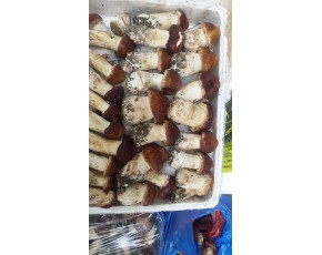 云南供應(yīng)鮮品大球蓋、常年供應(yīng)泉水干品木耳 