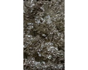 秀珍菇臺(tái)秀菌棒