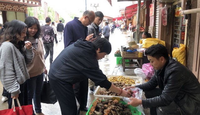 四川省康定市郭達(dá)農(nóng)貿(mào)市場(chǎng)牛肝菌、白菌等野生食用菌已小批量上市