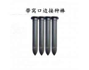 菌種接種棒