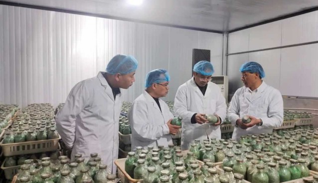 食用菌專家技術指導昊陽農業(yè)