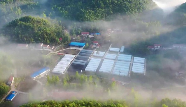 力爭(zhēng)突破2000萬元銷售額，南漳裕農(nóng)菌業(yè)沖刺“開門紅”