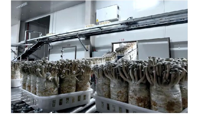 鴻升生物申請新三板掛牌，掛牌股份總量為31,168,800股