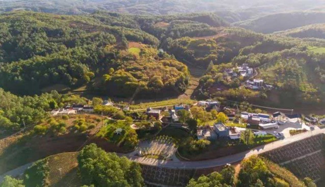 云南祿勸縣：新山村試種灰虎掌菌，年產(chǎn)值約36萬(wàn)元