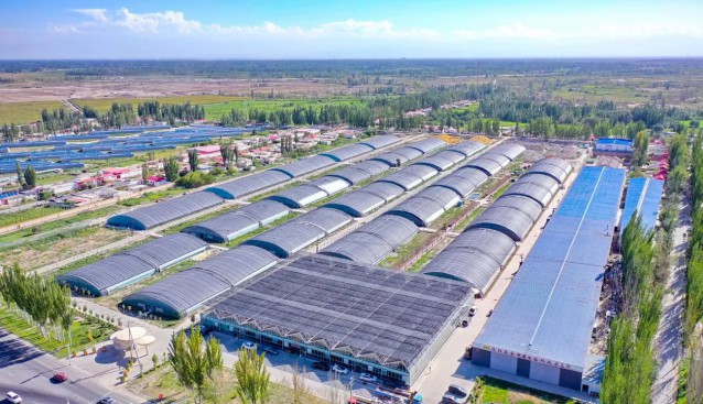 魯疆情食用菌科技示范園每年接待8000余名學(xué)生研學(xué)