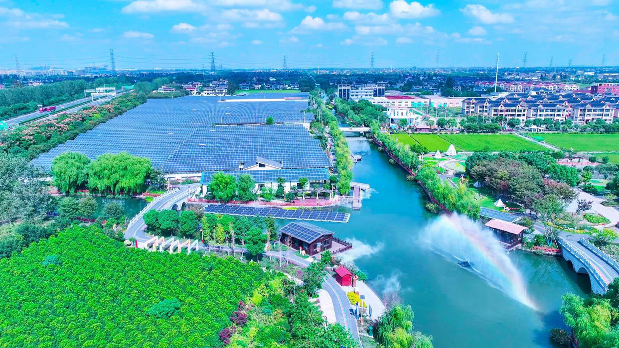 從養(yǎng)豬到種菇，浙江海寧鄉(xiāng)村實(shí)現(xiàn)綠色蛻變