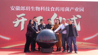 安徽滁州瑯琊區(qū)珍稀藥食用菌種植基地開工建設(shè)