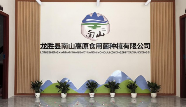 廣西龍勝縣南山高原食用菌公司建設(shè)100畝黑木耳示范基地