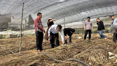 長(zhǎng)裙竹蓀新品種田間技術(shù)鑒定會(huì)在四川長(zhǎng)