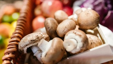 關(guān)于蘑菇的冷知識，你知道幾個？