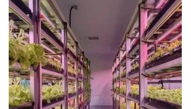 帕蘭斯光科技完成對青島鴻得源天使輪投資