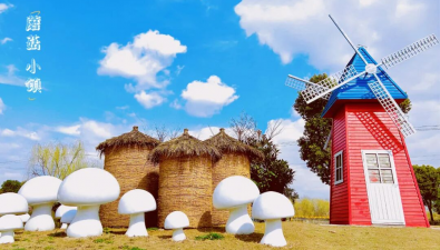 山海金山：“蘑菇小鎮(zhèn)”98%以上實現(xiàn)工廠化種植，年產(chǎn)值3.97億元