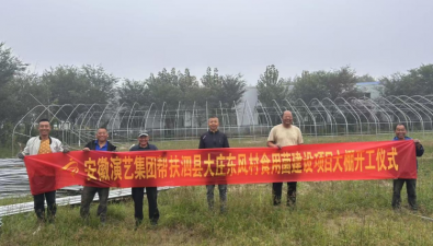 安徽泗縣：東風(fēng)村新建6個(gè)標(biāo)準(zhǔn)化食用菌大棚種羊肚菌