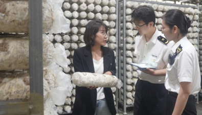 陜西商洛：香菇菌絲首次以“批次檢驗(yàn)（檢疫）”模式出口