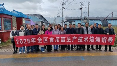 寧夏自治區(qū)園藝站組織開展食用菌生產(chǎn)技術(shù)培訓(xùn)指導(dǎo)
