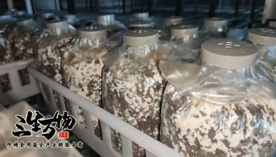 章丘食用菌科技小院獲批國家級科技小院
