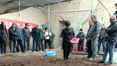 新疆：喀什市成功舉辦“戈壁設(shè)施羊肚菌栽培技術(shù)現(xiàn)場培訓(xùn)會”