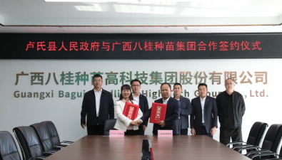 河南盧氏縣人民政府與廣西八桂種苗集團合作簽約，涉及食用菌項目
