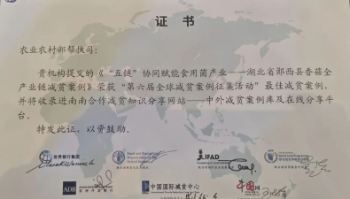 湖北鄖西縣：香菇全產(chǎn)業(yè)鏈減貧案例全球推廣