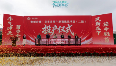 貴州貞豐縣：黑牛肝菌建設項目（二期）投產(chǎn)