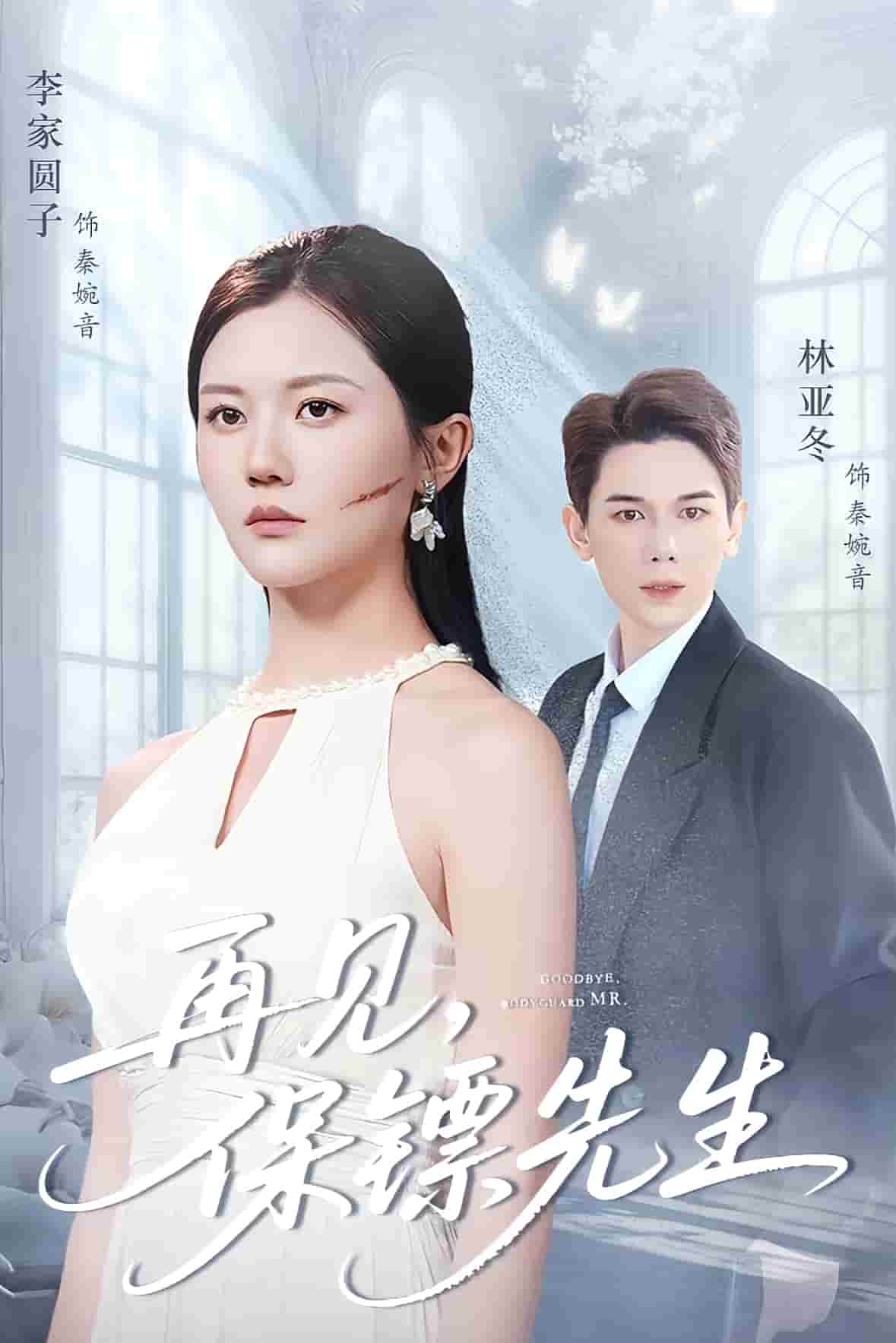 保鏢先生我不要你了