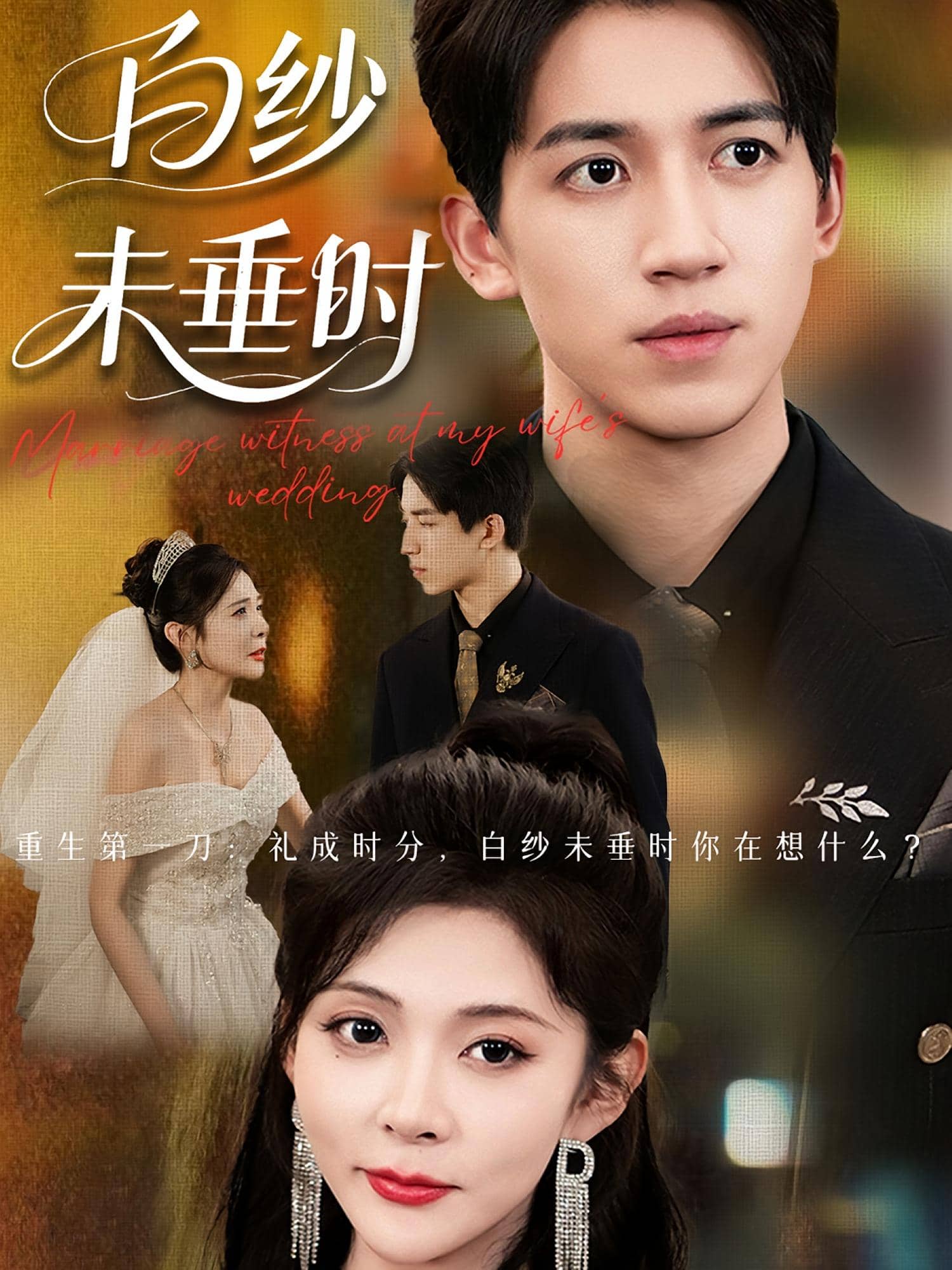 老婆婚禮我當(dāng)證婚人